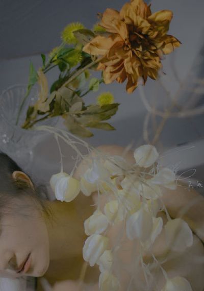 三妻四妾在线观看_剧情片在线手机播放